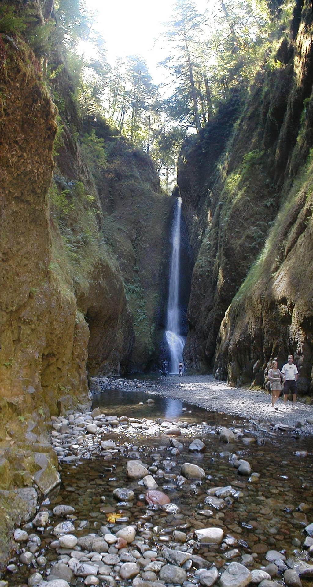 Oneonta Gorge USA - Images n Detail - XciteFun.net