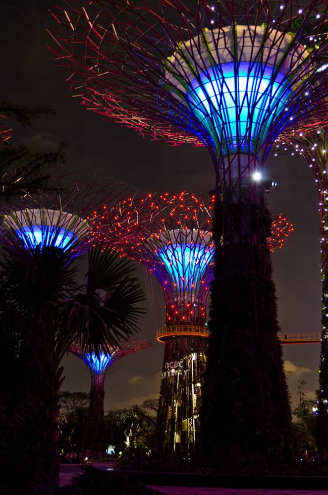 Supertrees of Singapore - Solar Powered Tree Structure - XciteFun.net