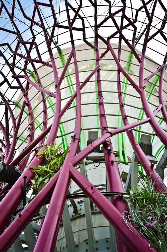 Supertrees of Singapore - Solar Powered Tree Structure - XciteFun.net