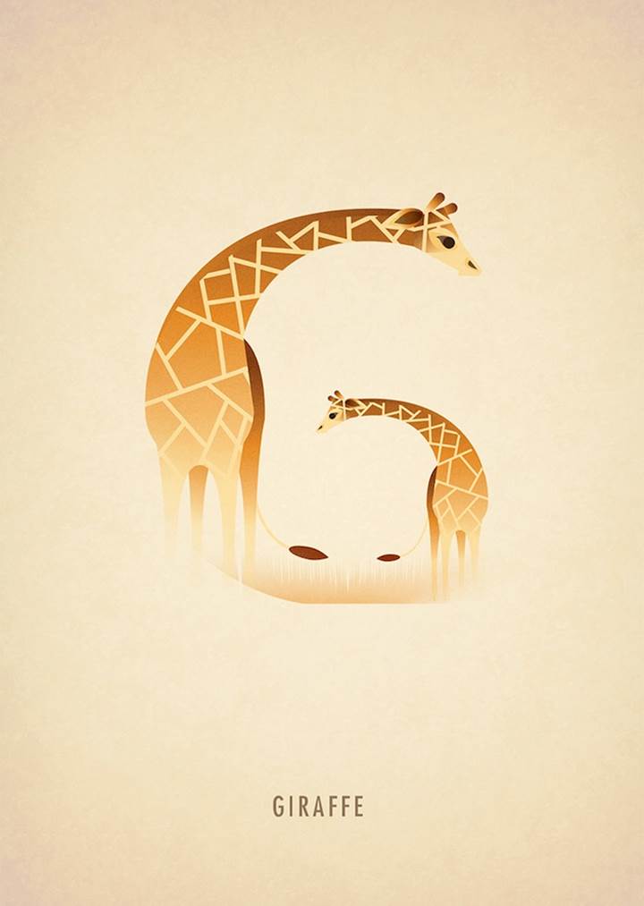 Adorable Animal Alphabets - Typography Series - XciteFun.net