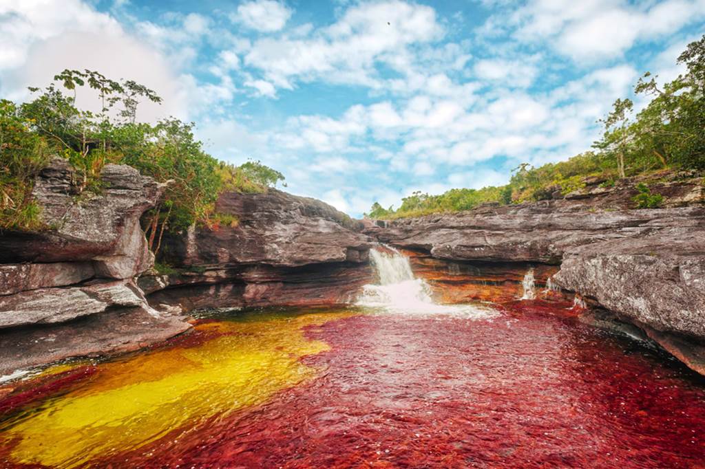 Cano Cristales River Colombia - Rainbow River Images - XciteFun.net