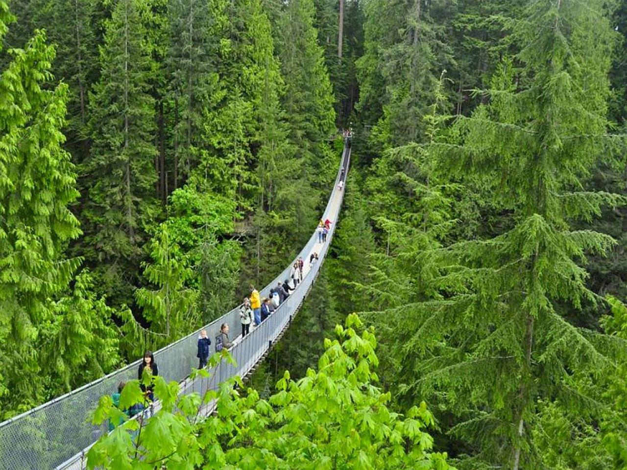 Capilano Suspension Bridge Canada Images n Detail