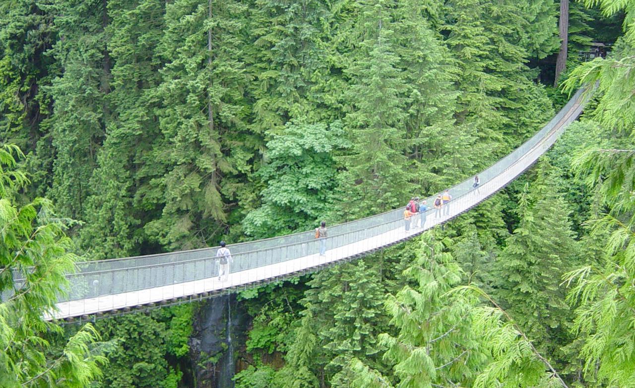 Capilano Suspension Bridge Canada - Images n Detail - XciteFun.net