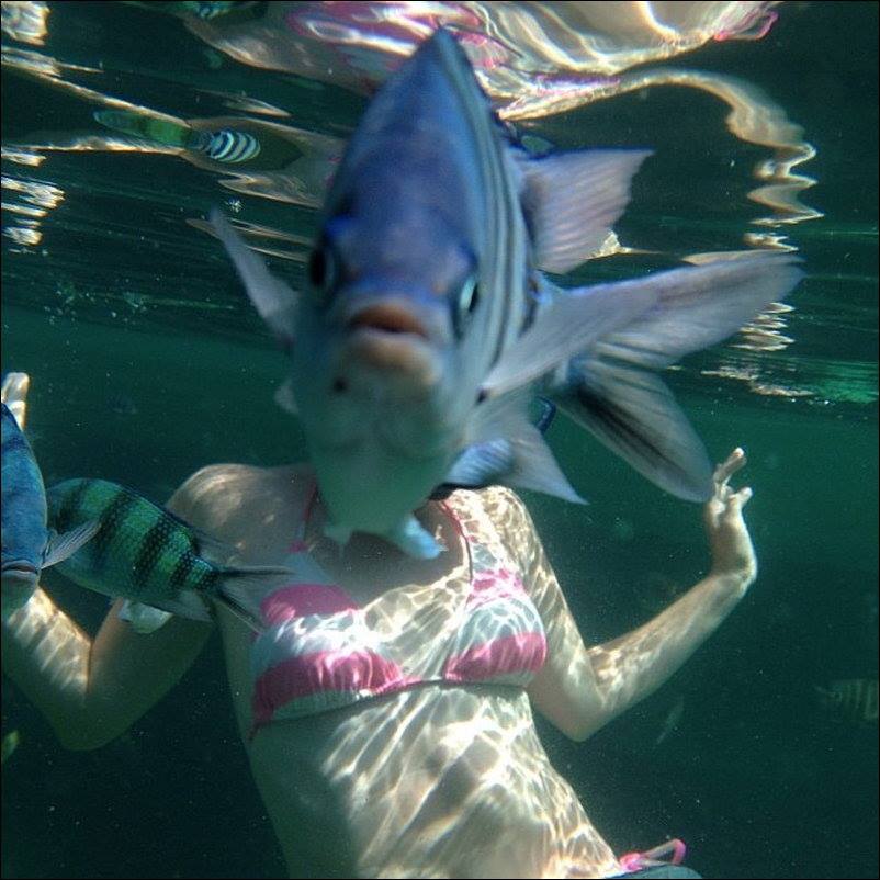 So Funny Fish - Photo Bomb - XciteFun.net