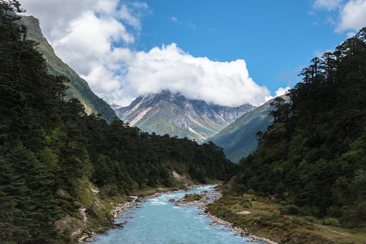 Tourist Guide To Yumthang Valley India - XciteFun.net
