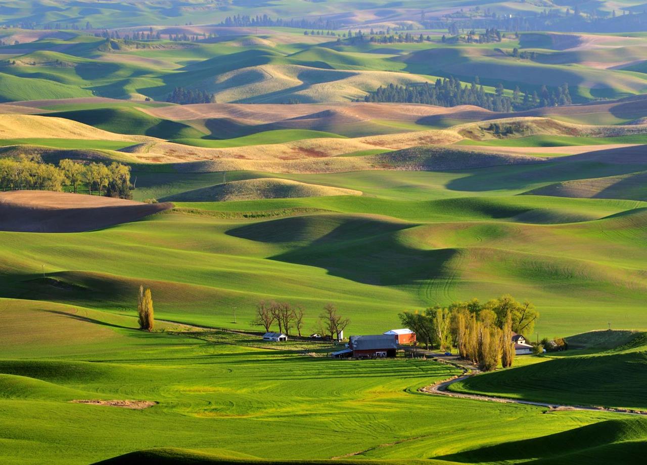 Astonishing Landscapes of The Palouse Region Washington - XciteFun.net