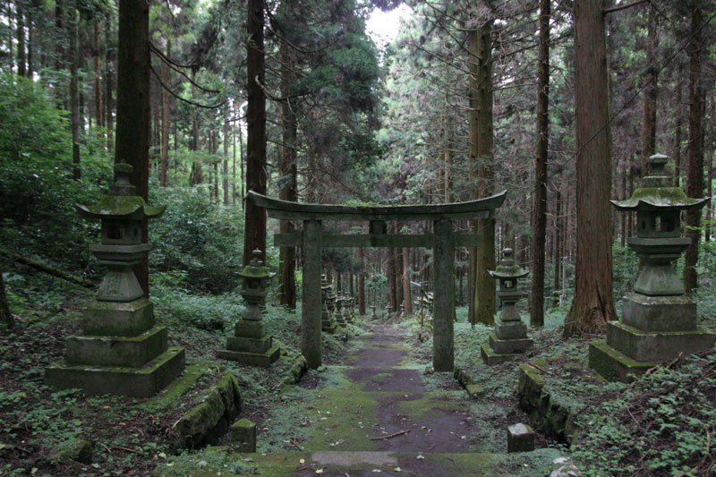 A Visit To Forest Shrine in Japan - XciteFun.net