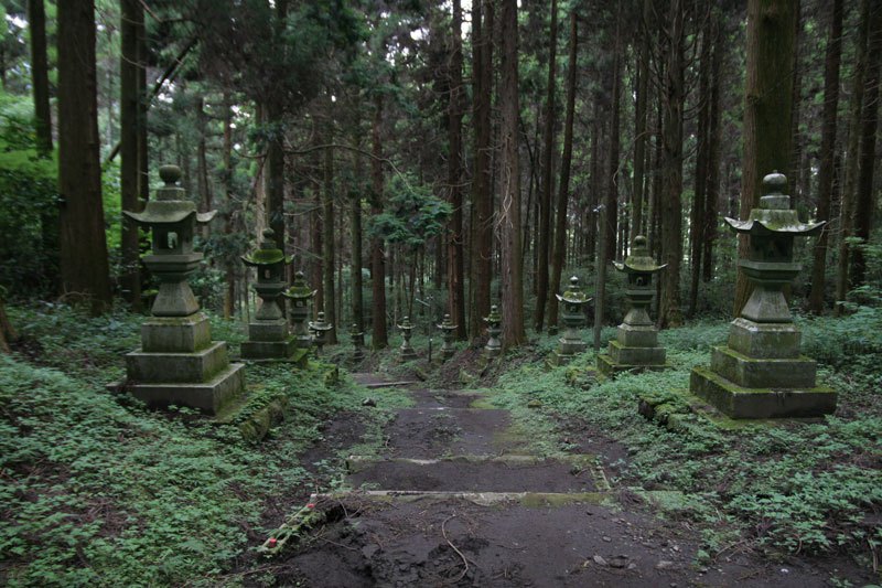 A Visit To Forest Shrine in Japan
