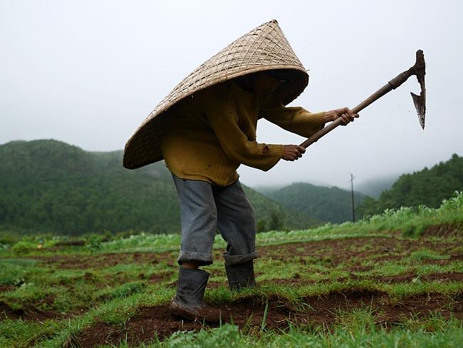 Mawsynram India - Extremely Rainy Village On Earth - XciteFun.net