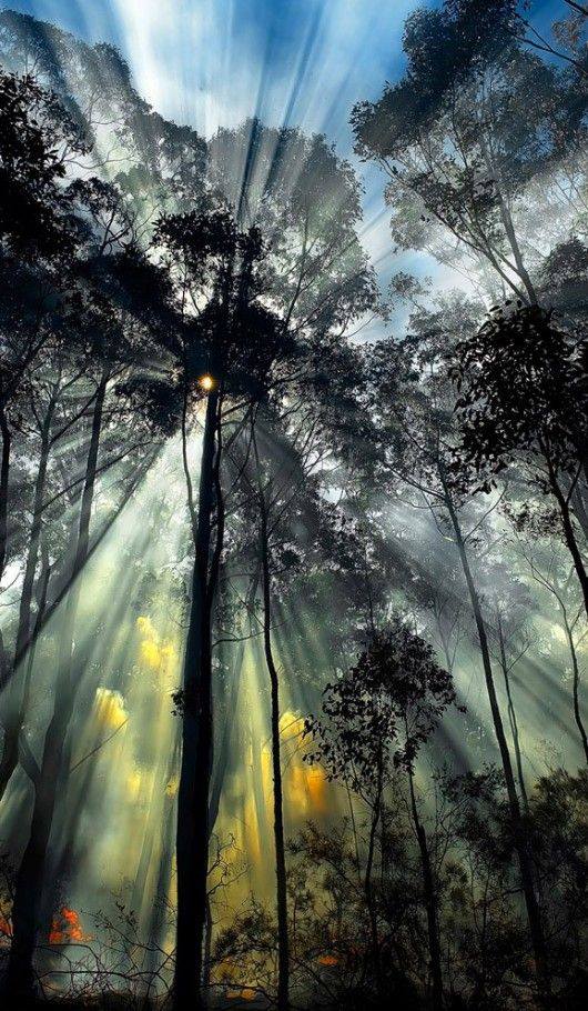 Breathtaking Sun Rays Photography - XciteFun.net