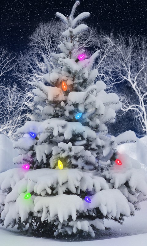 Christmas Smartphone Wallpaper Collection 2014-15 - XciteFun.net