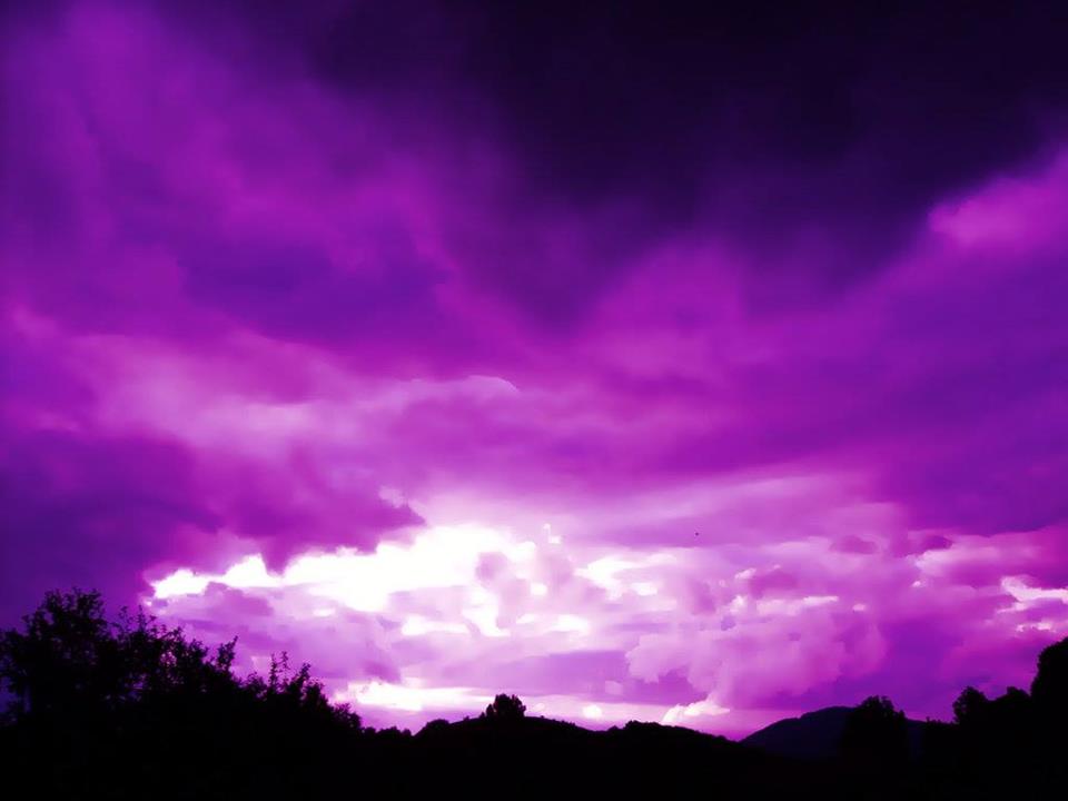 Pure Purple Photography - XciteFun.net