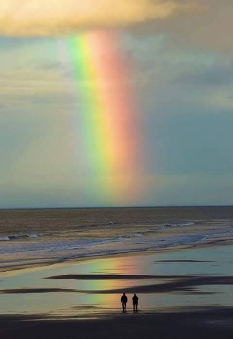 Capture The Perfect Moment of Full Spectrum of Rainbow - XciteFun.net