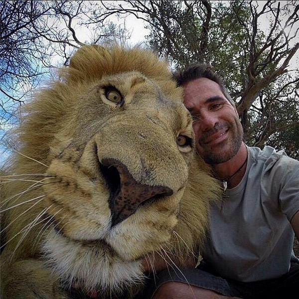 Crazy Selfie with Lions - XciteFun.net