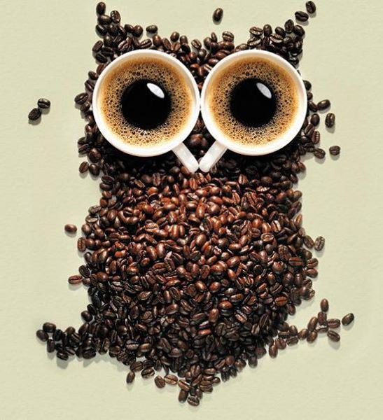 Awesome Art With Coffee Beans - XciteFun.net