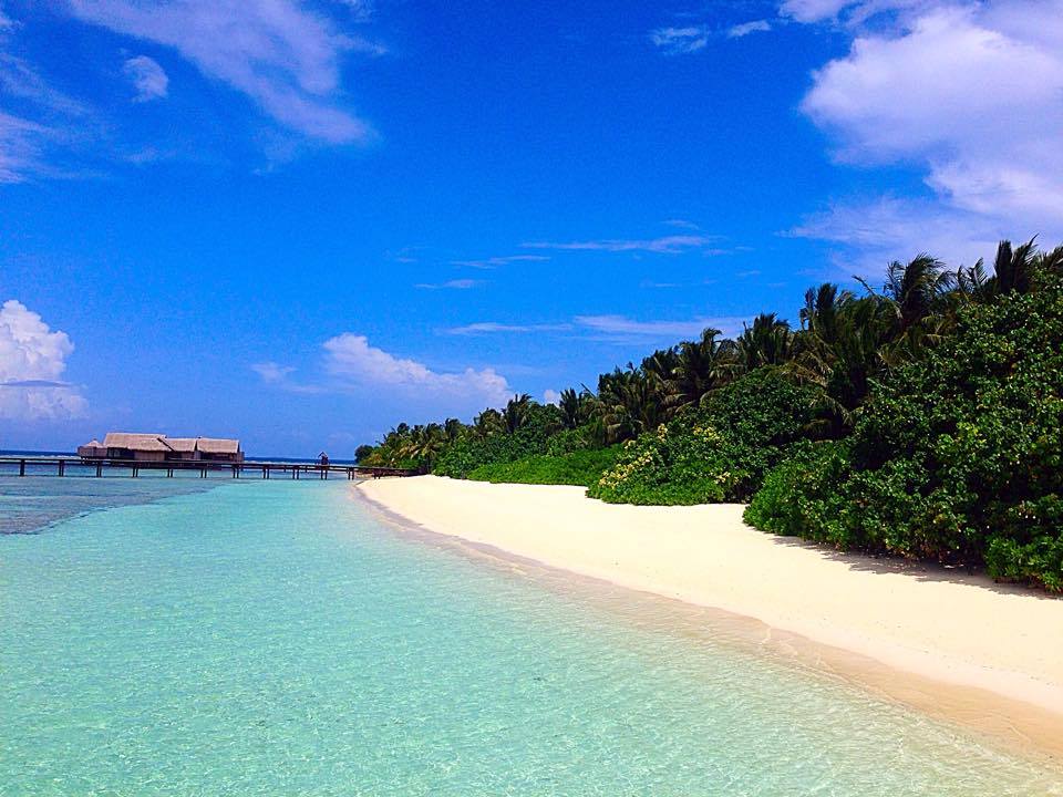 Maldives  Ultimate Beach Paradise For Summer Holidays 