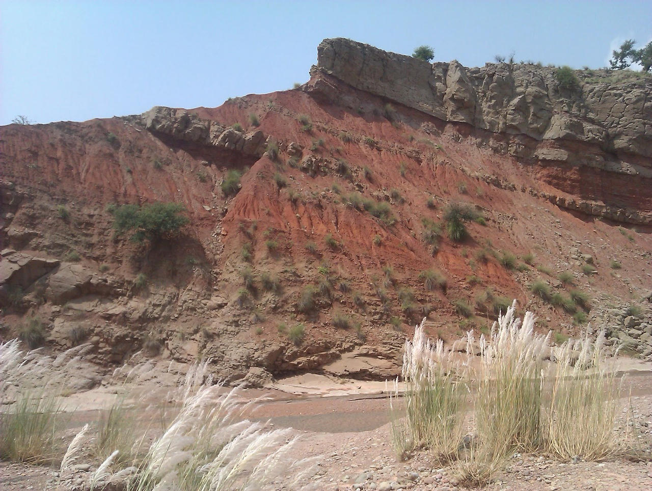 Tour Guide To Chinji National Park Chakwal - XciteFun.net