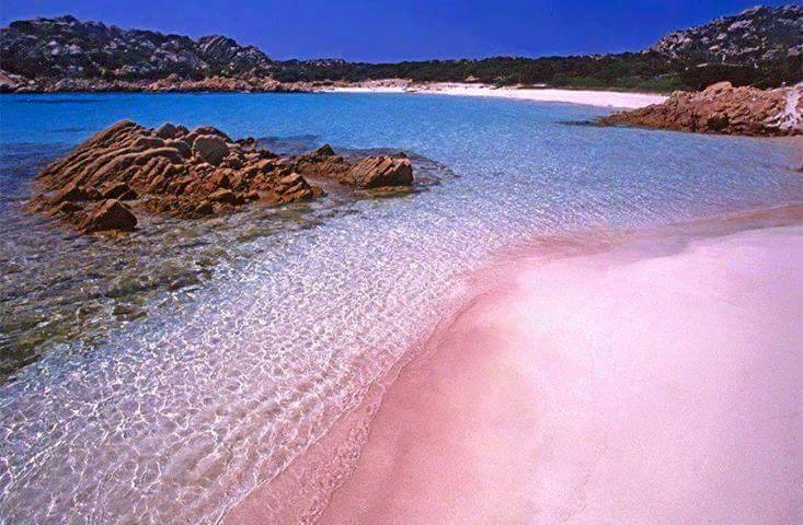 Pantai Pink Amazing Pink Sand Beach In Indonesia