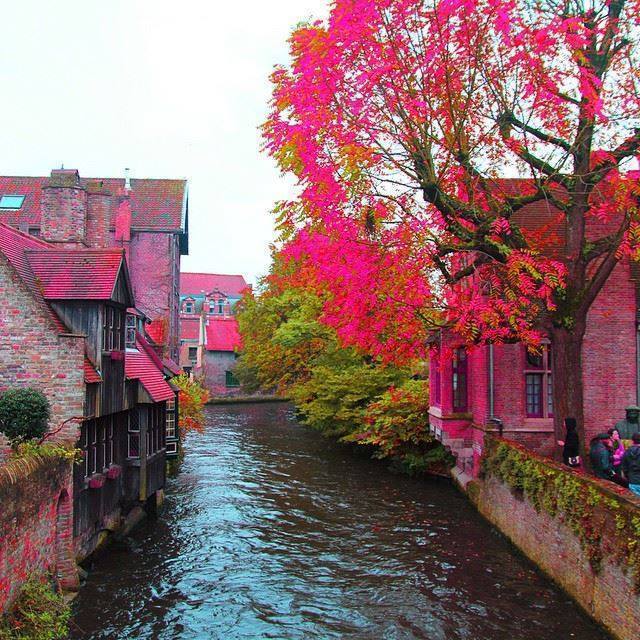 Colorful Brugge, Belgium - Spring Visit - XciteFun.net