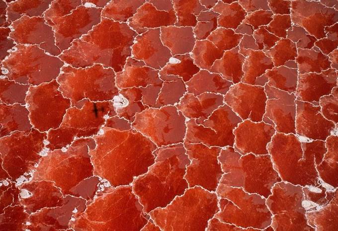 bright red lake natron