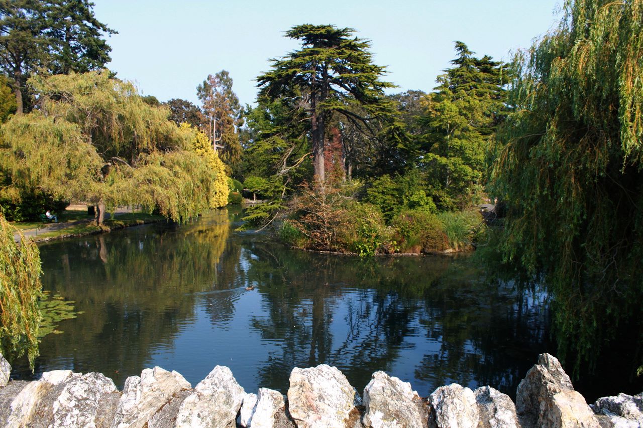 Хуторе парк. Хилл парк. Beacon Hill Park Виктория. Пэйнсхилл парк фото. Beacon Hill Park 1909.