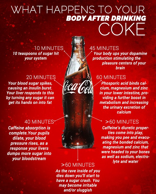 What happens to your body after drinking COKE - XciteFun.net