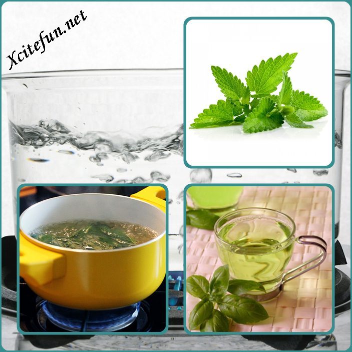 Reduce Facial Hair Growth by using Spearmint Tea ...